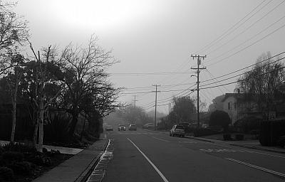 26 Fog